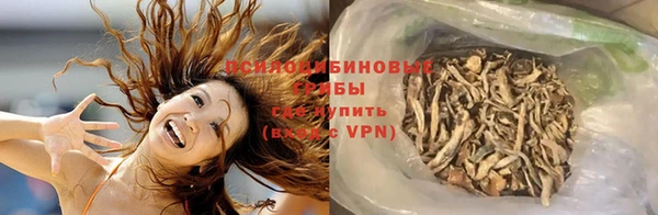 МДПВ Белокуриха