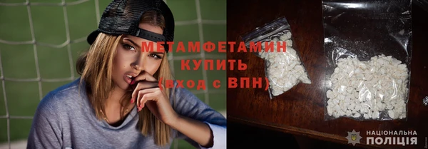 прущие грибы Приозерск