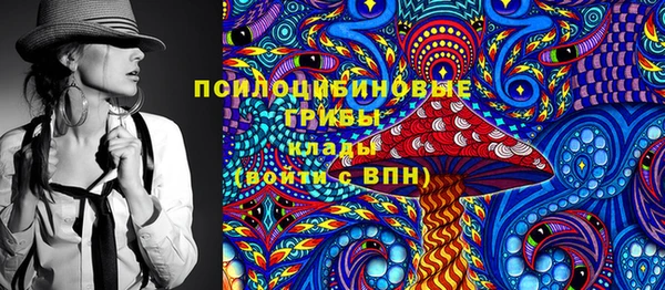 прущие грибы Богородицк