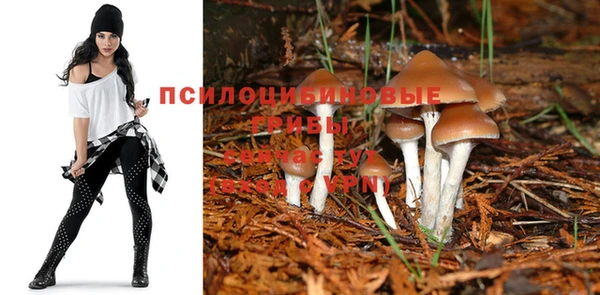 скорость mdpv Богданович