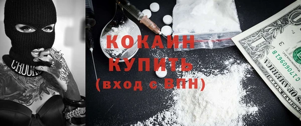 прущие грибы Богородицк
