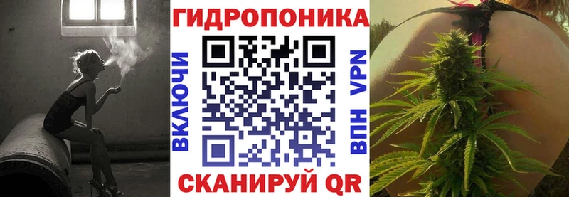 Шишки марихуана гибрид Берёзовка